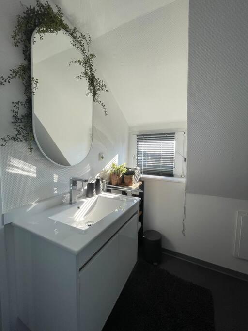 Gemuetliche, Helle Wohnung In Paderborn Esterno foto