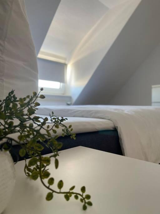 Gemuetliche, Helle Wohnung In Paderborn Esterno foto